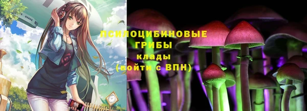 ГАЛЛЮЦИНОГЕННЫЕ ГРИБЫ Белокуриха