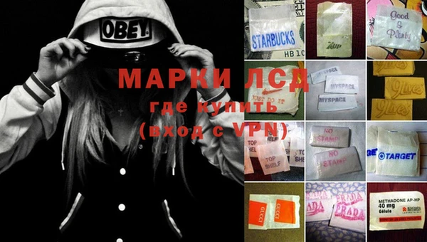 молекула духа Беломорск