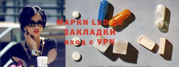 ГАЛЛЮЦИНОГЕННЫЕ ГРИБЫ Белокуриха