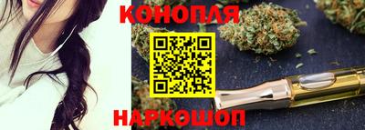 шишки Будённовск
