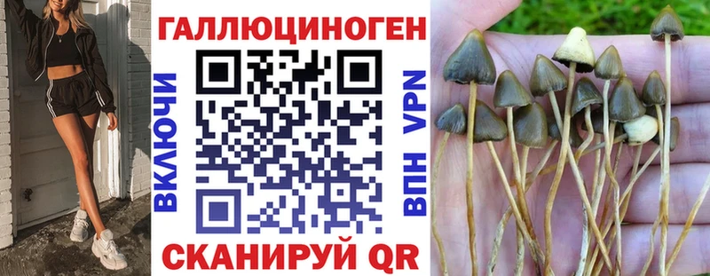 Псилоцибиновые грибы GOLDEN TEACHER  Гатчина 