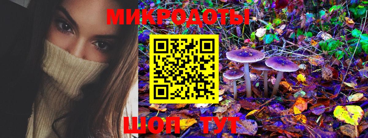 Галлюциногенные грибы Cubensis Гатчина