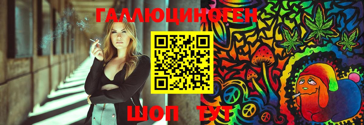 Псилоцибиновые грибы MAGIC MUSHROOMS  Псилоцибиновые грибы Psilocybe  Гатчина 