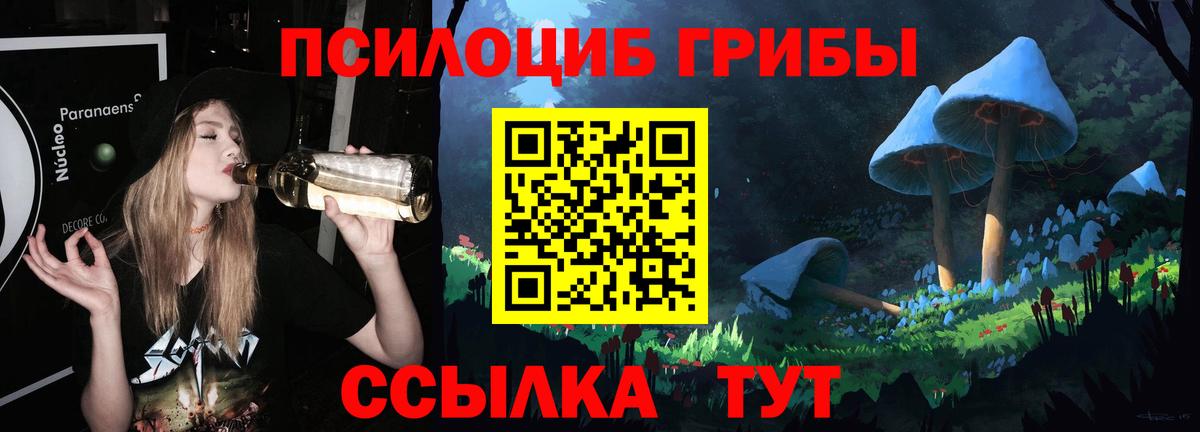 Гатчина  Псилоцибиновые грибы MAGIC MUSHROOMS  Вход с VPN  Галлюциногенные грибы ЛСД 