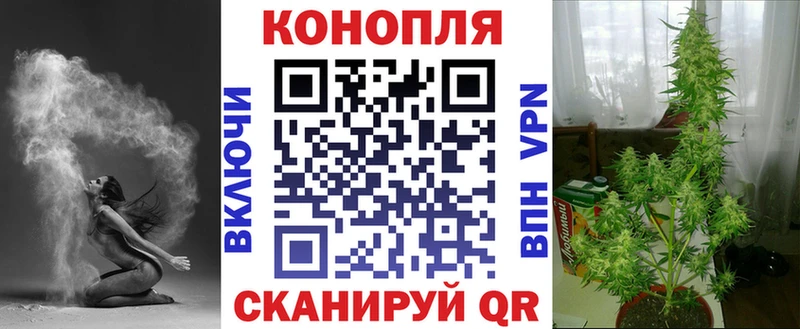 Бошки марихуана планчик  Гатчина 